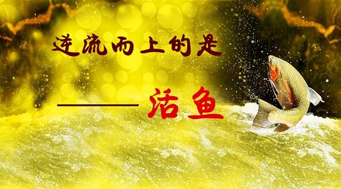 人生即使如此!活鱼逆流而上,死鱼随波逐流!-福慧轮佛表
