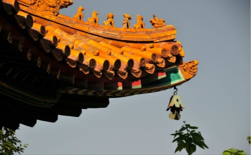 莲花与佛