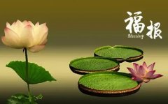 有大福报的人会有不顺的事情是怎么回事？