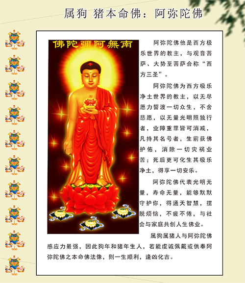 属狗属猪本命佛